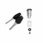 BOMBINES SHAD para TERRA